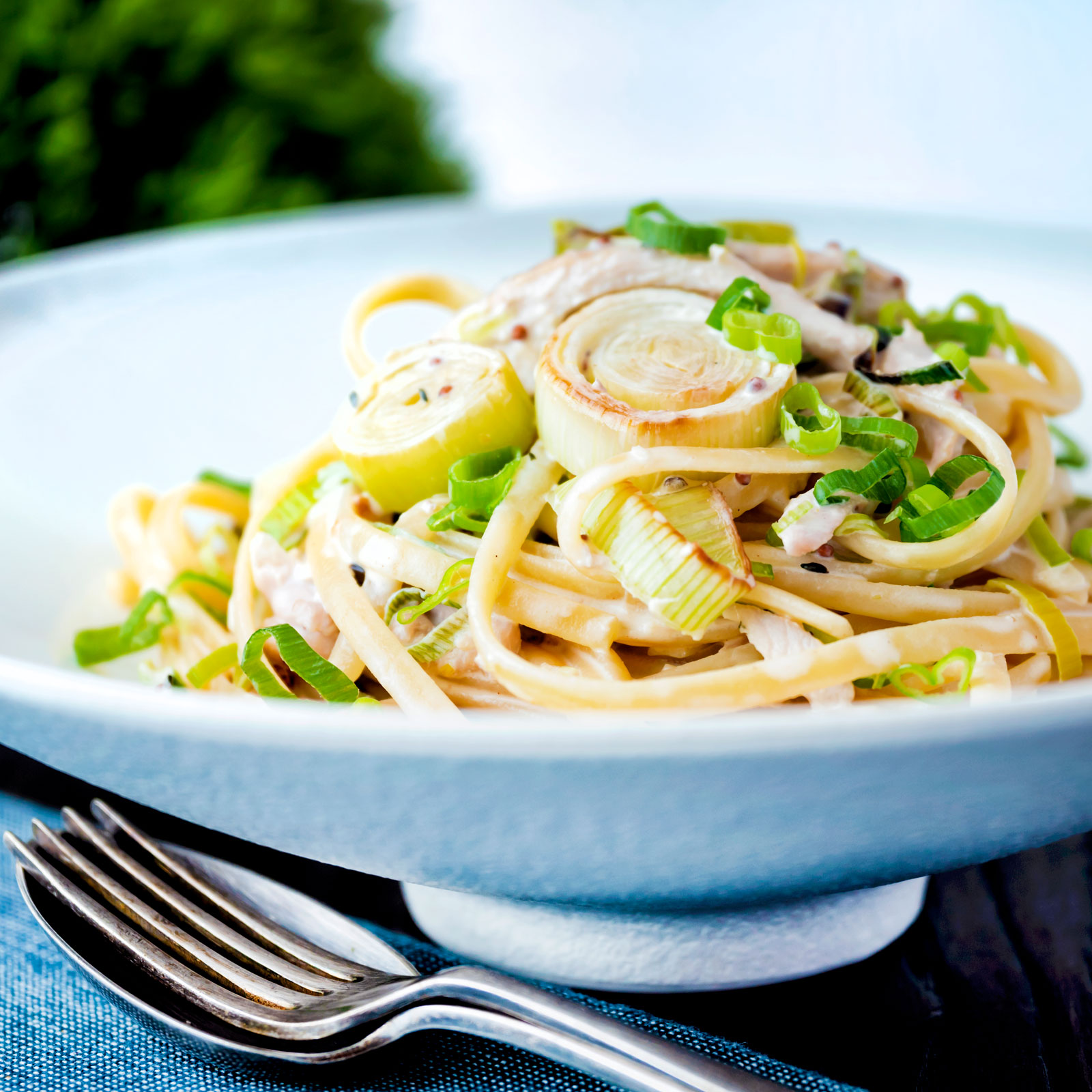 Chicken and leek pasta with linguini and shredded spring onions.