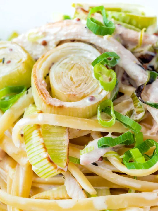 Close up chicken and leek pasta with linguini and shredded spring onions.