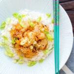 Over head Chinese crispy lemon chicken served with rice.