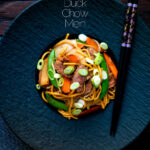 Overhead hoisin duck chow mein stir fry with noodles, carrots and sugar snap peas featuring a title overlay.