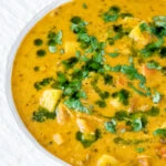 Close up chicken mulligatawny soup with coconut milk.