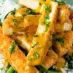 Close up tofu katsu curry with a homemade sauce, rice and soy roasted tenderstem broccoli featuring a title overlay.