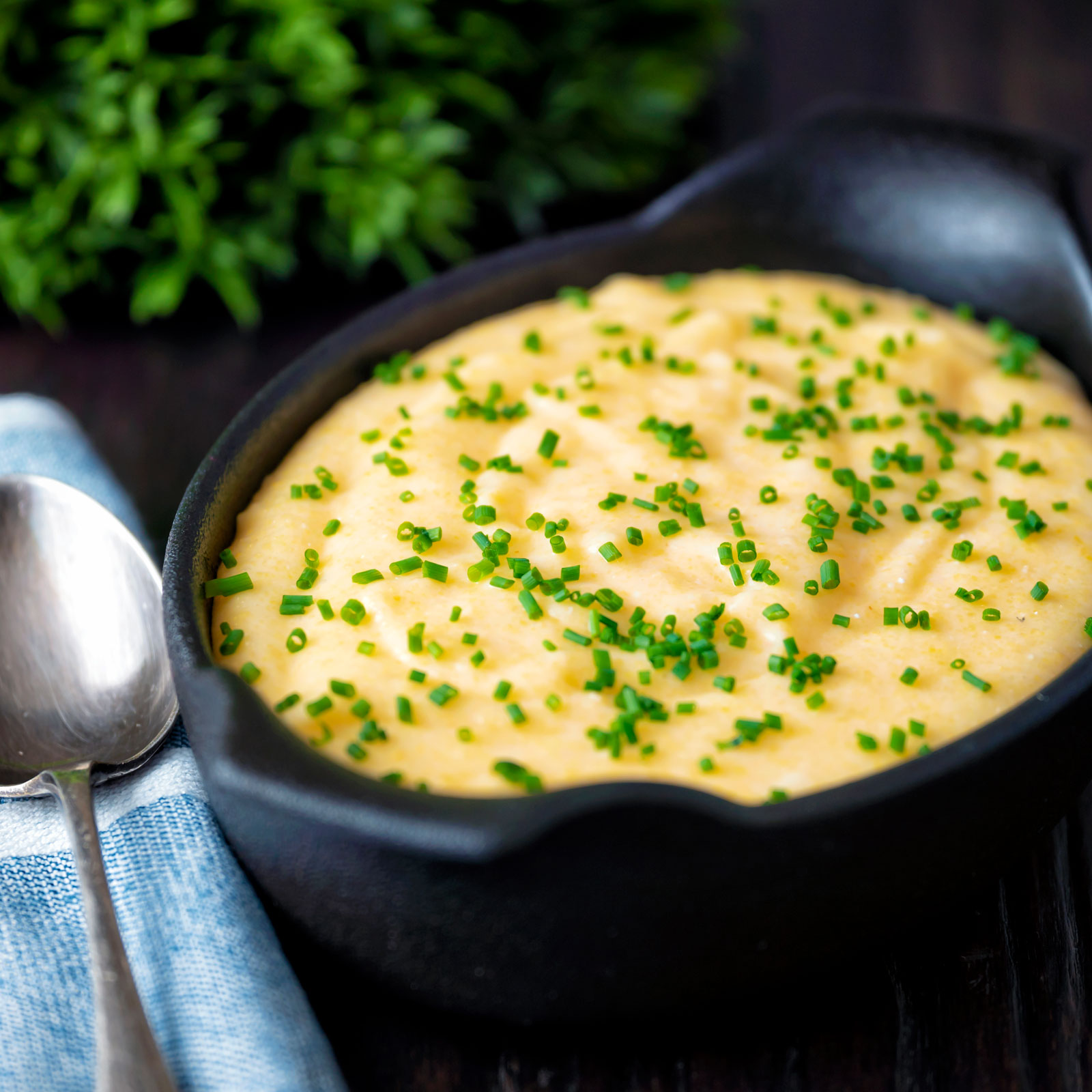 Creamy cheesy polenta garnished with snipped chives.