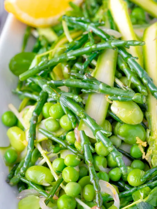 Close up samphire salad with peas, broad beans and shaved asparagus.