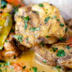 Close up South Indian influenced monkfish curry with coconut milk.