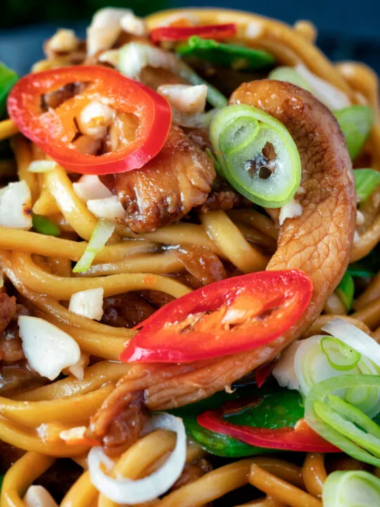 Close up chicken satay stir fry with peanuts and egg noodles.