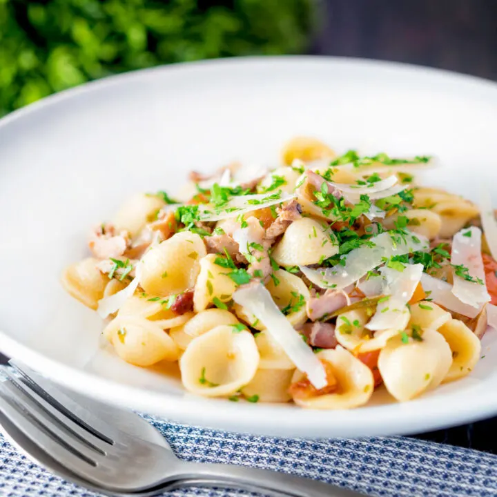 Braised rabbit ragu served with orecchiette pasta and fresh parsley and parmesan shavings.