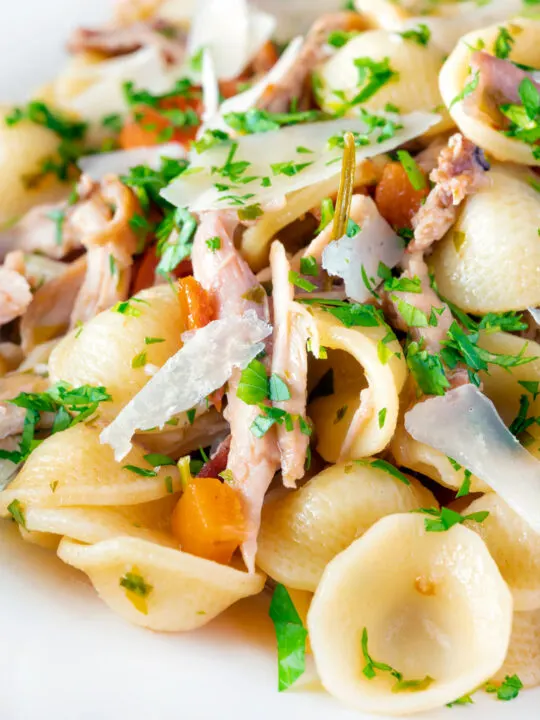 Close up braised rabbit ragu served with orecchiette pasta and fresh parsley.