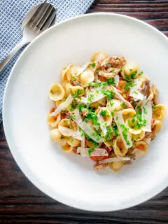 Overhead braised rabbit ragu served with orecchiette pasta and fresh parsley.