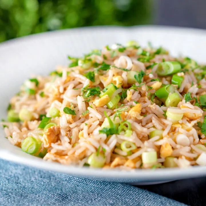 Chinese takeaway style plain egg fried rice with green onions.