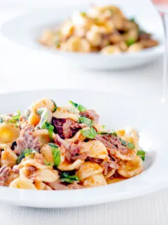 Instant Pot pork ragu with orecchiette pasta served in a white bowl.