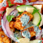Close up paneer tikka salad with yoghurt raita dressing.