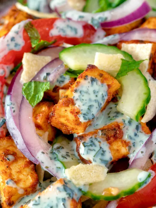 Close up paneer tikka salad with yoghurt raita dressing.