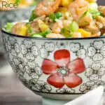 Chinese takeaway style house special fried rice served in a floral bowl featuring a title overlay.
