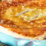 Close up puff pastry topped individual creamy chicken and leek pie featuring a title overlay.