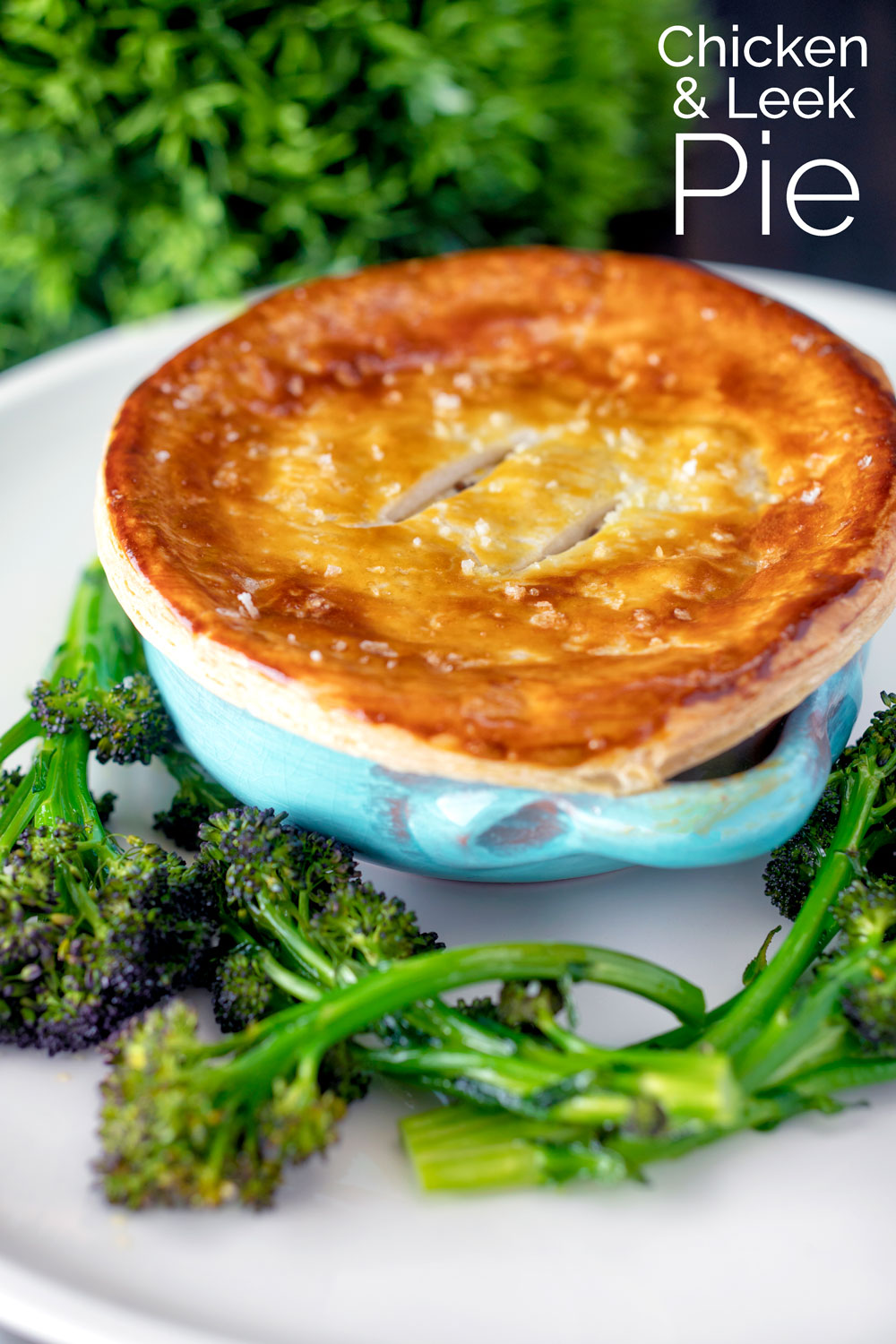 Chicken and Leek Pie with Creme Fraiche - Krumpli