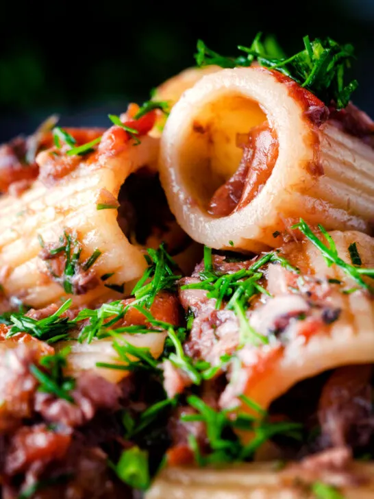 Close up canned sardine pasta Bolognese with mezzi rigatoni and fresh dill.