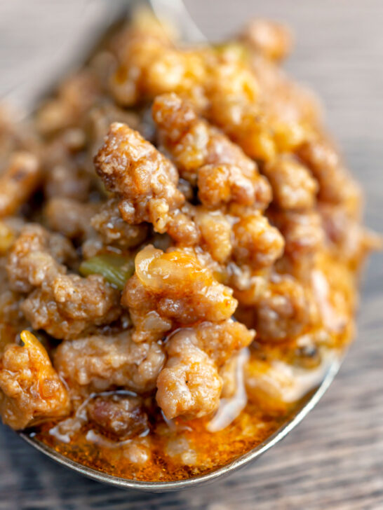 Close up slow cooker bolognese sauce on a spoon.