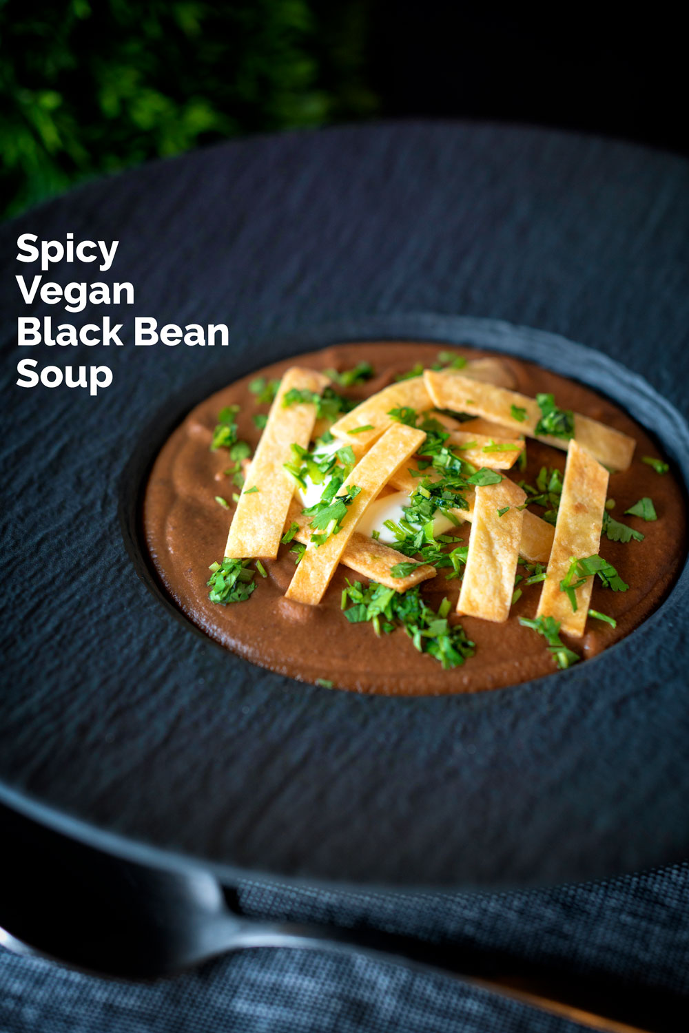 Spicy Black Bean Soup with Mexican Influences Krumpli