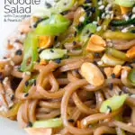 Close-up soba noodle salad with cucumber, toasted peanuts and sesame seeds featuring a title overlay.