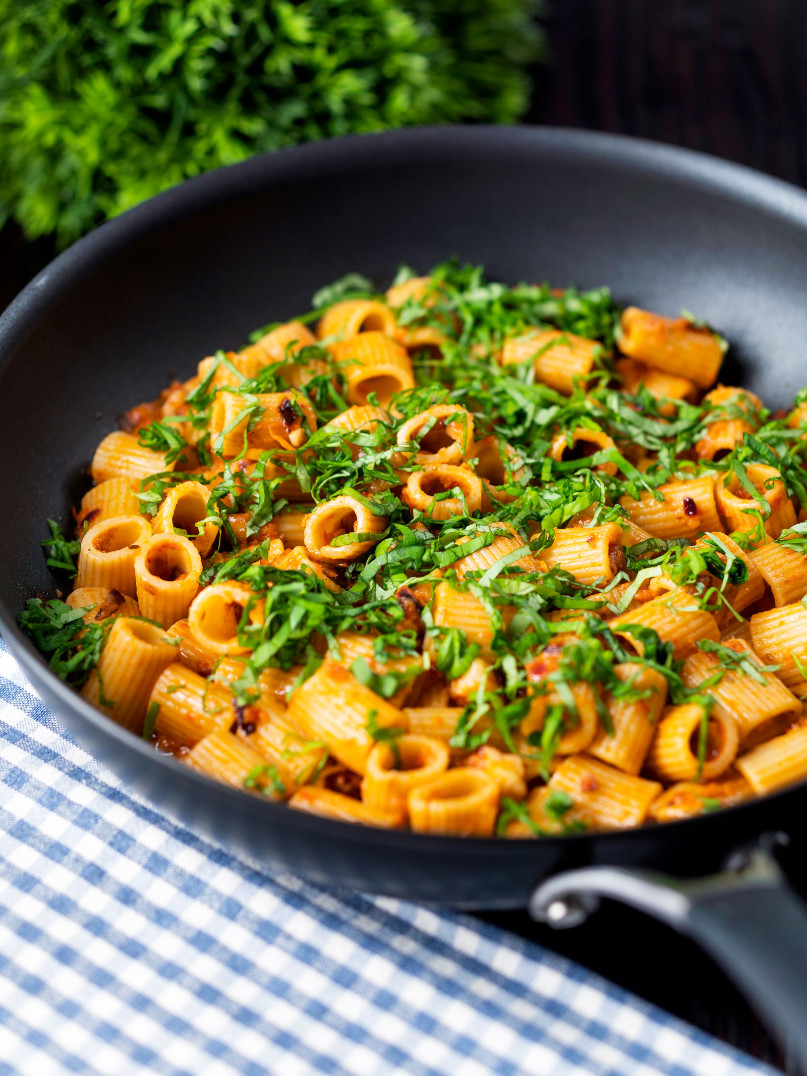 Sun Dried Tomato Pesto Rosso With Fusilli