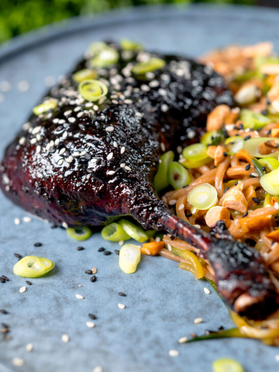 Close-up sticky hoisin baked duck leg with soba noodle salad.