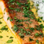 Close-up Indian salmon fillet curry with crispy skin in a yoghurt sauce featuring a title overlay.