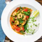 Overhead Thai prawn panang curry with jasmine rice and fresh coriander featuring a title overlay.