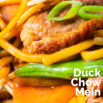 Close-up hoisin duck chow mein stir fry with noodles, carrots and runner beans featuring a title overlay.