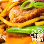 Close-up hoisin duck chow mein stir fry with noodles, carrots and runner beans featuring a title overlay.