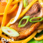 Close-up duck breast chow mein stir fry with noodles, carrots and runner beans featuring a title overlay.