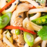 Close-up ginger chicken udon noodle stir fry with chilli and spring onions.