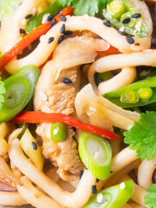 Close-up ginger chicken udon noodle stir fry with chilli and spring onions.