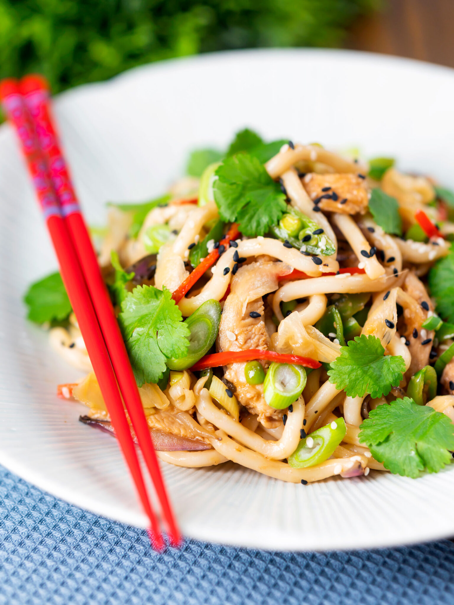 Ginger Chicken Udon Noodles Stir Fry Krumpli