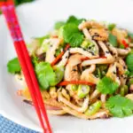 Ginger chicken udon noodle stir fry with chilli and spring onions featuring a title overlay.