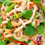 Overhead close-up Wagamama influenced ginger chicken udon noodle stir fry.