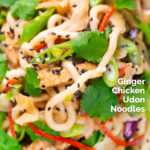 Overhead close-up ginger chicken udon noodle stir fry featuring a title overlay.