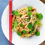 Overhead ginger chicken udon noodle stir fry with chilli and spring onions.