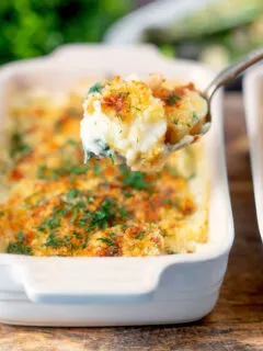 Cheese and breadcrumb topped smoked haddock and potato gratin on a spoon.