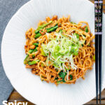 Overhead dan dan noodles, a spicy pork mince stir fry with peanuts and chilli with spring onions featuring a title overlay.