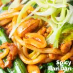 Close-up dan dan noodles, a spicy pork mince stir fry with peanuts with spring onions featuring a title overlay.