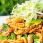 Close-up spicy pork mince and noodle stir fry with peanuts with spring onions.