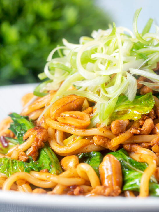 Close-up spicy pork mince and noodle stir fry with peanuts with spring onions.