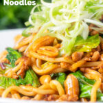 Close-up spicy pork mince and noodle stir fry with peanuts with spring onions featuring a title overlay.