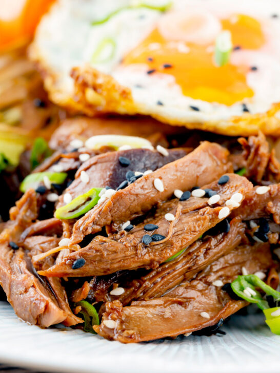 Close-up shredded teriyaki duck leg served as part of a donburi rice dish.