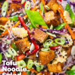 Overhead close-up crispy soy sauce tofu and rice vermicelli noodle and vegetable noodle salad featuring a title overlay.