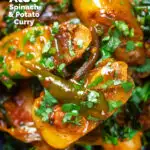 Overhead Close-up Indian spinach and potato curry or saag aloo featuring a title overlay.