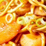 Close up chicken noodle stir fry with carrots and water chestnuts.
