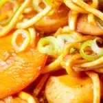 Close up chicken noodle stir fry with carrots and water chestnuts featuring a title overlay.