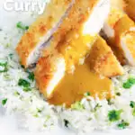Crispy fried chicken katsu curry with homemade kare sauce served with rice featuring a title overlay.